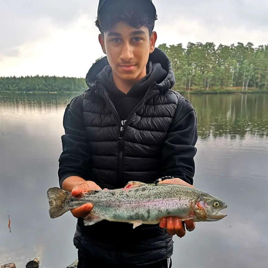 Rainbow trout caught on Fishbrain