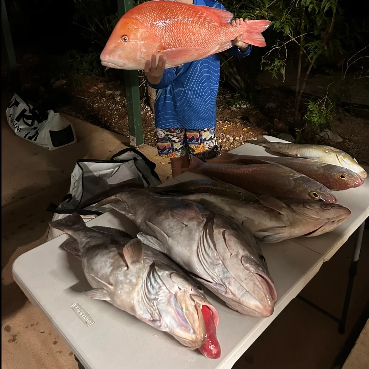 Fish caught on Fishbrain