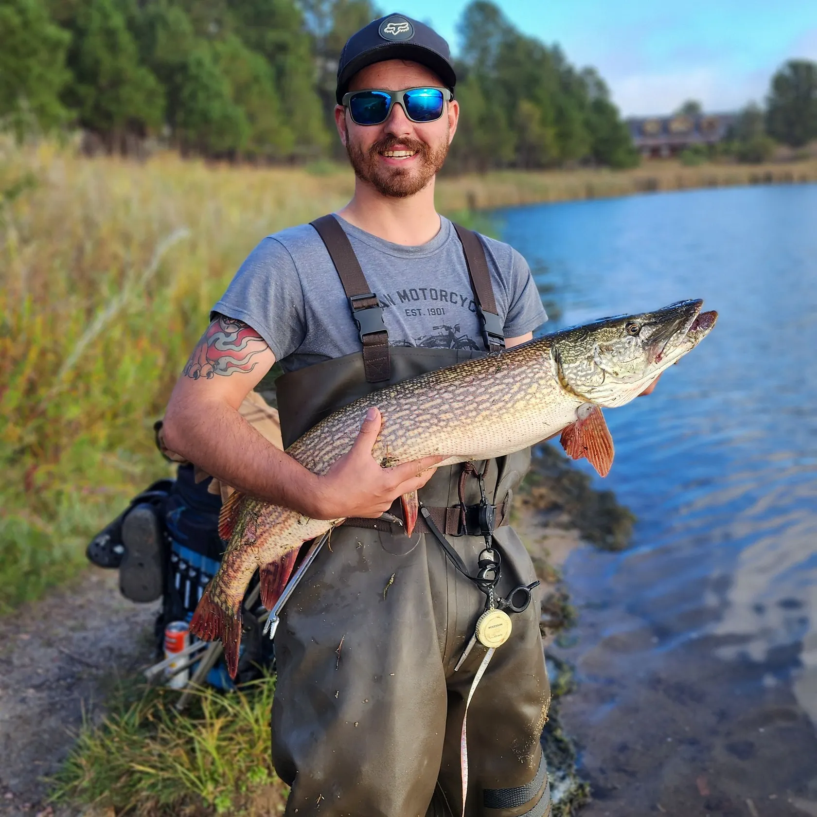Northern pike caught on Fishbrain