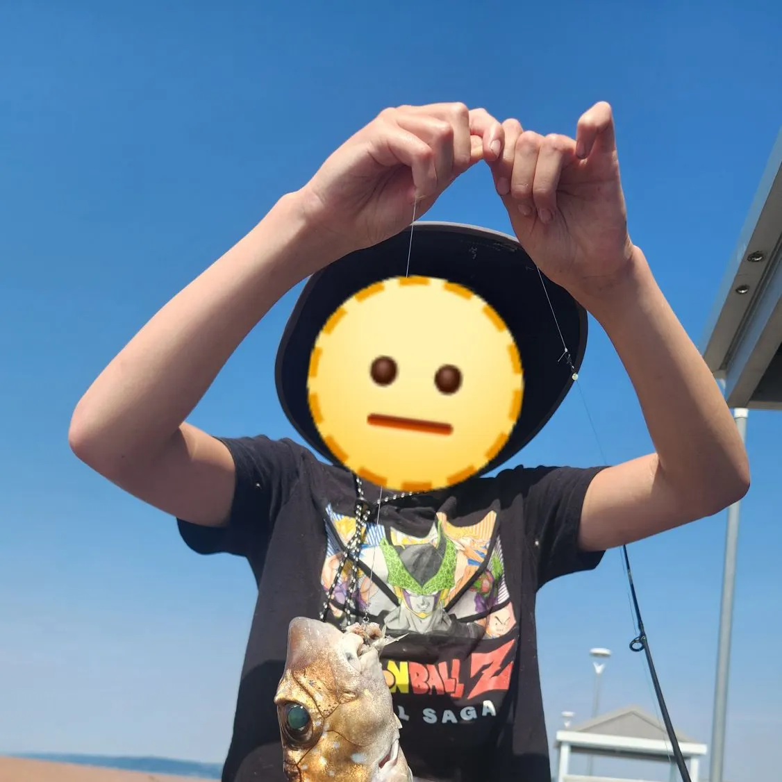 The most recent Spotted ratfish catches on Fishbrain