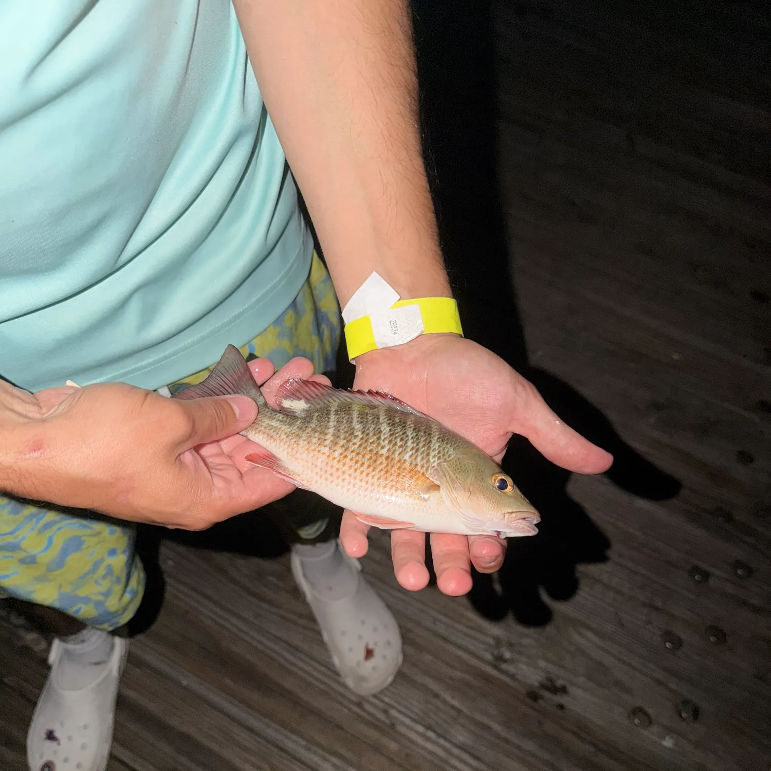 catch