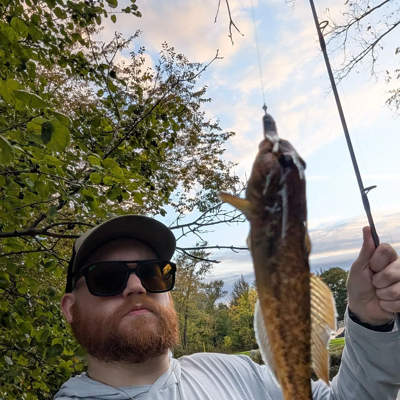 The most recent Mottled sculpin catches on Fishbrain