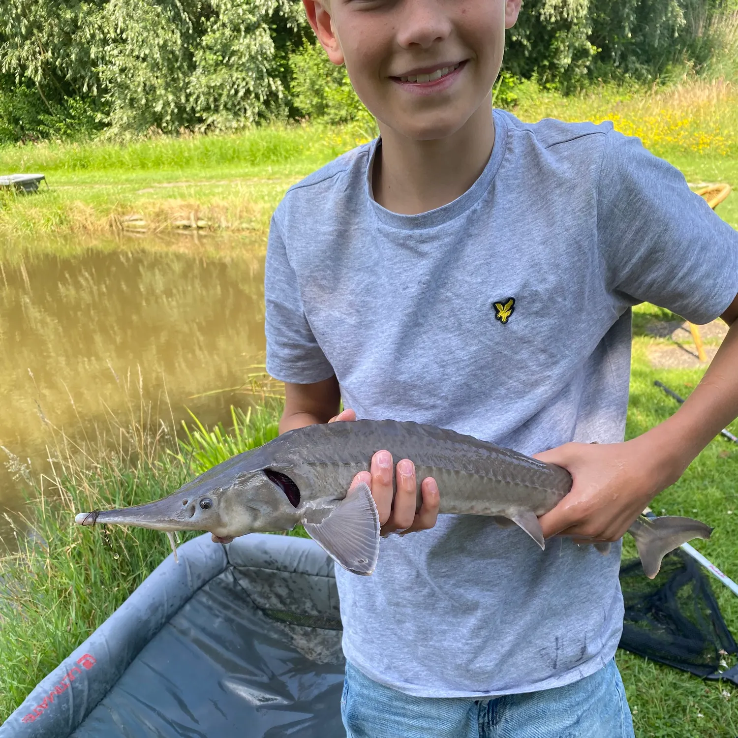 The most recent Siberian sturgeon catches on Fishbrain