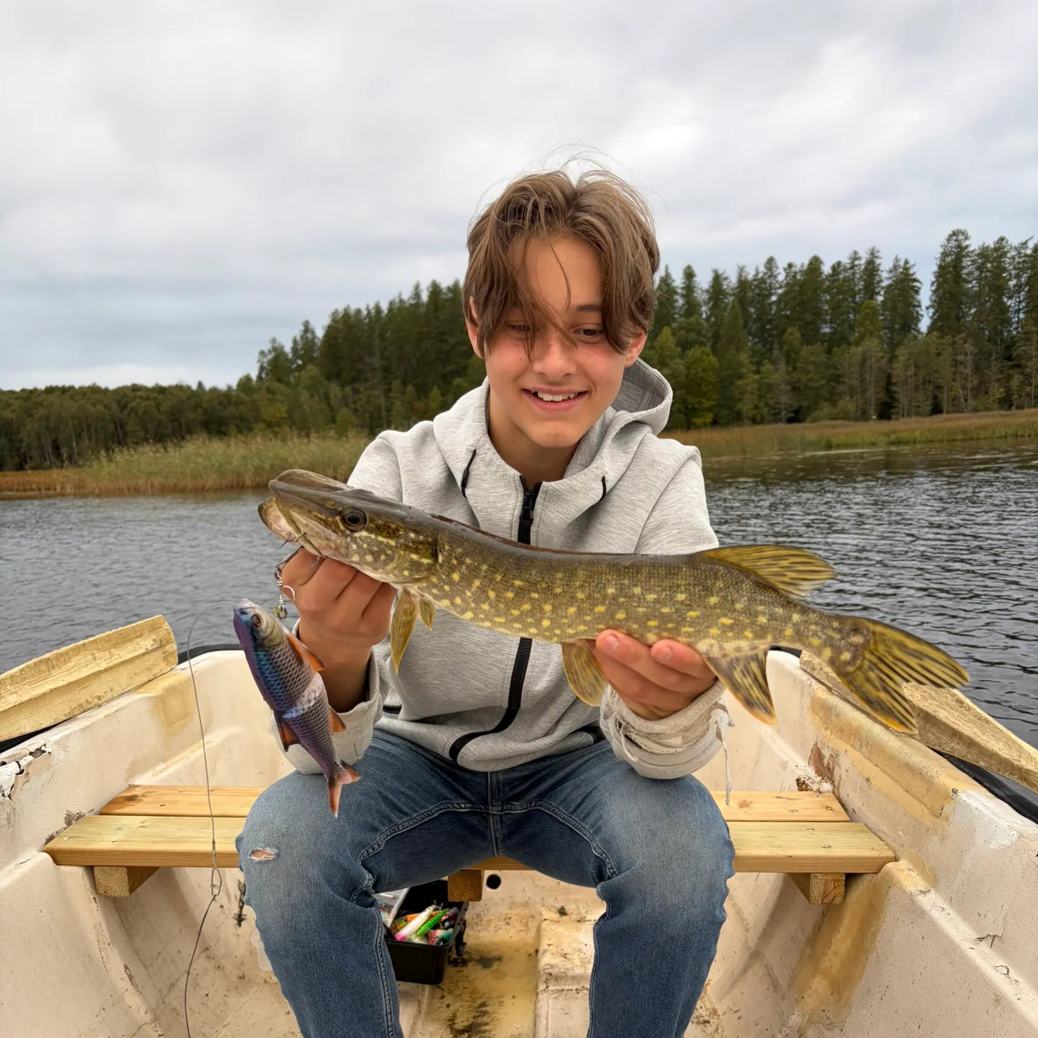 Northern pike caught on Fishbrain