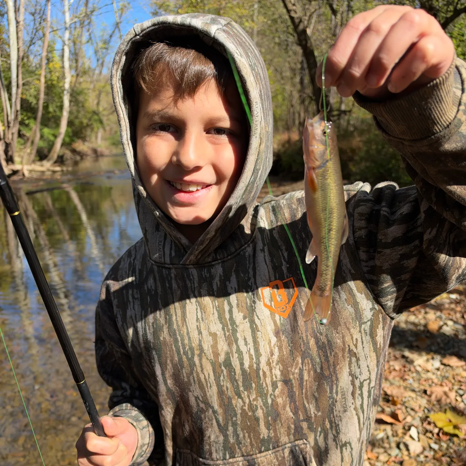 Creek chub caught on Fishbrain