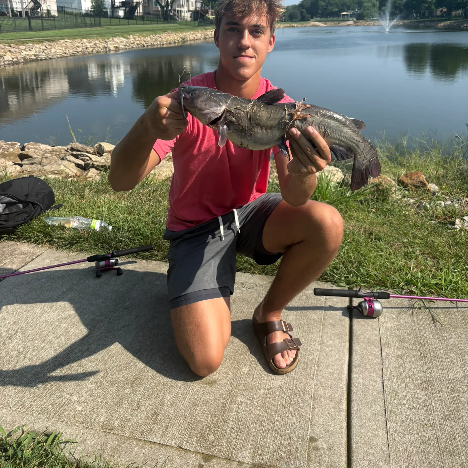 Channel catfish caught on Fishbrain