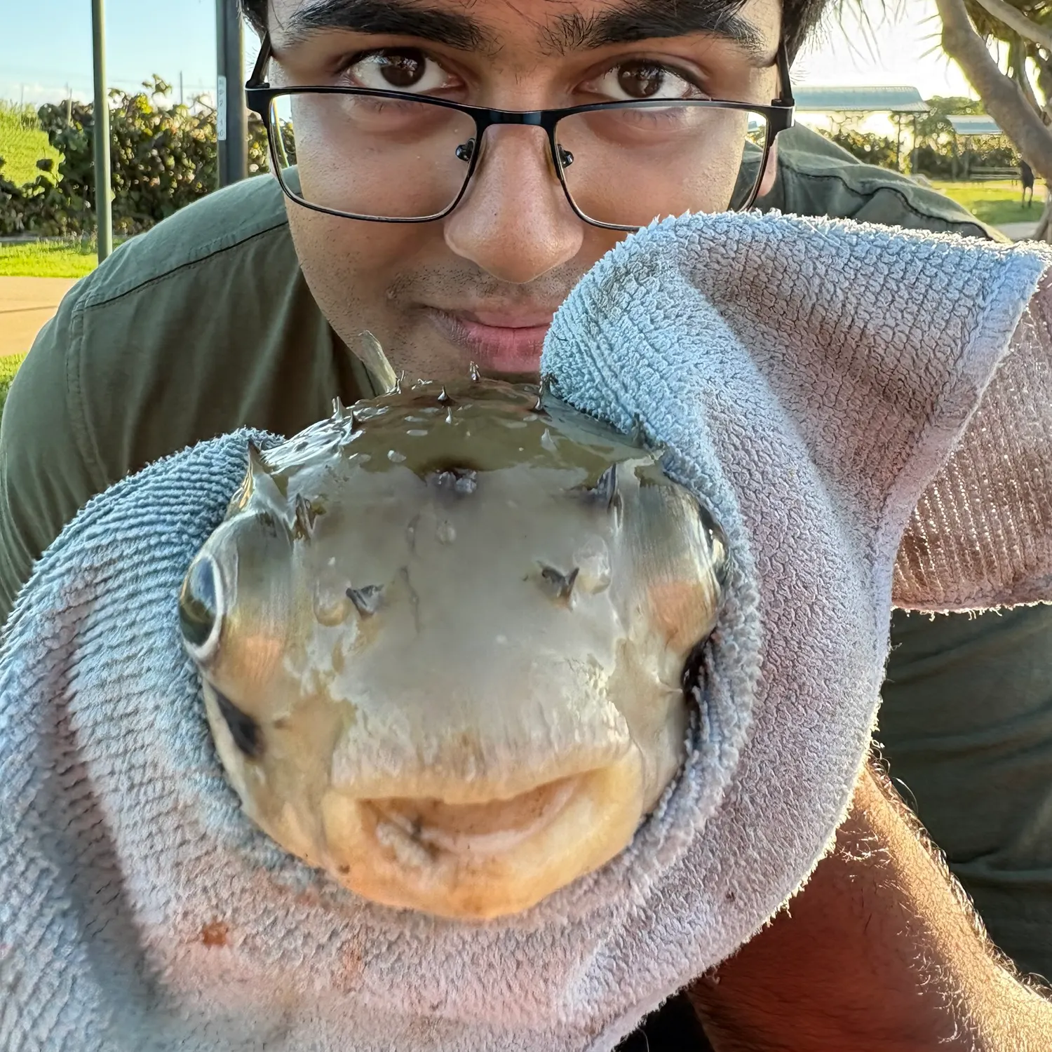 most liked catch image
