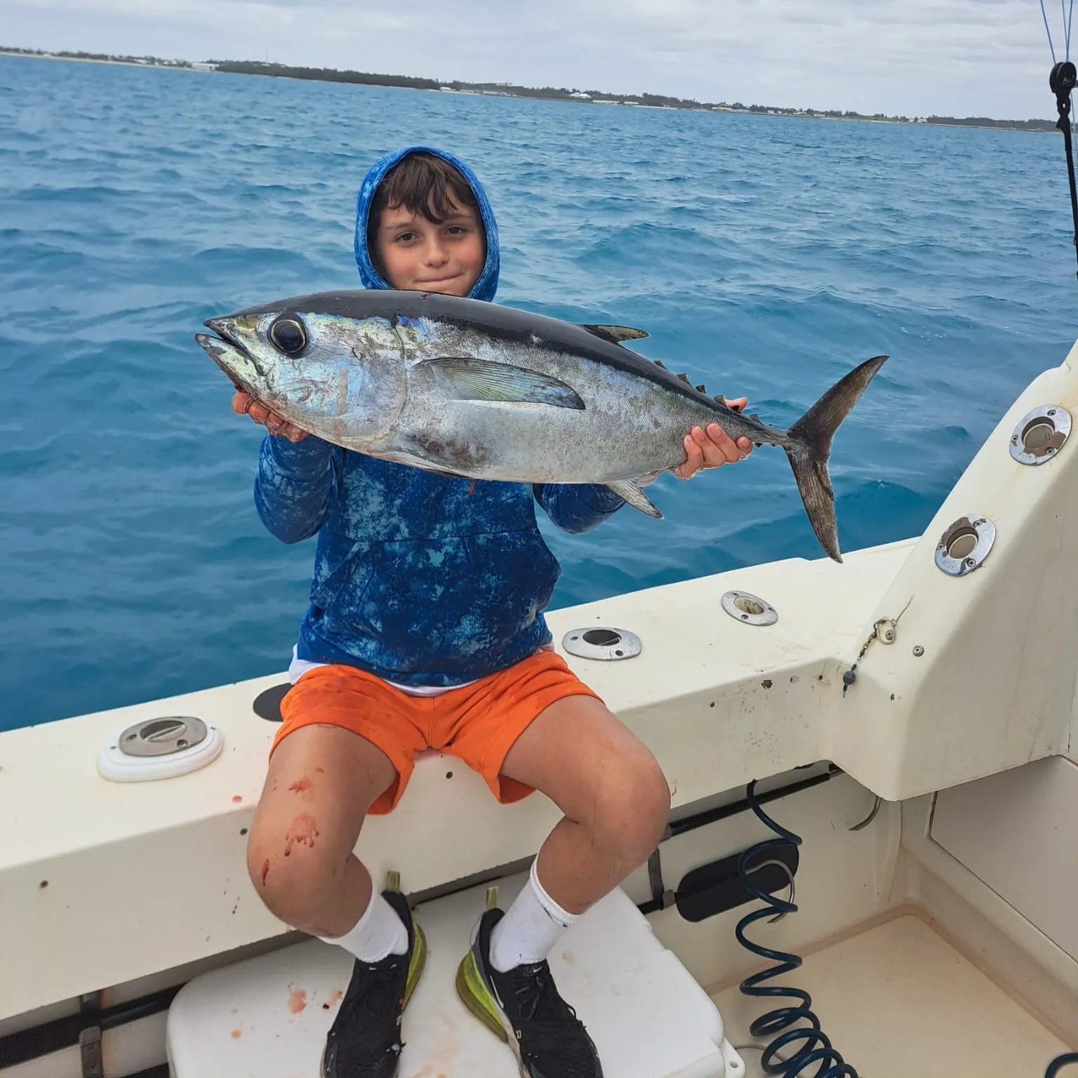 The most recent Blackfin tuna catches on Fishbrain
