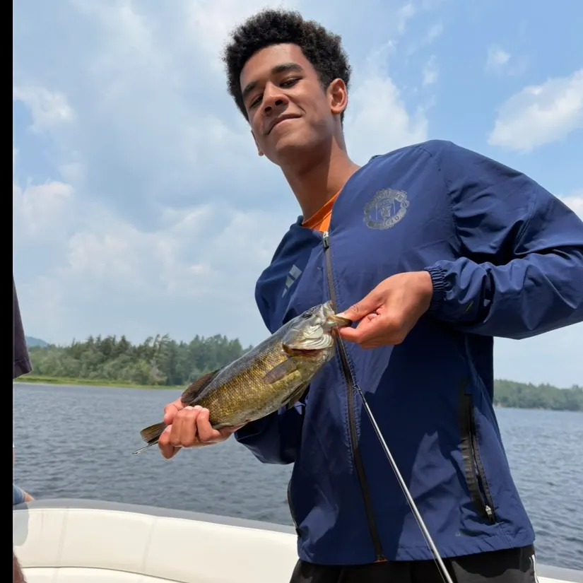 Smallmouth bass caught on Fishbrain