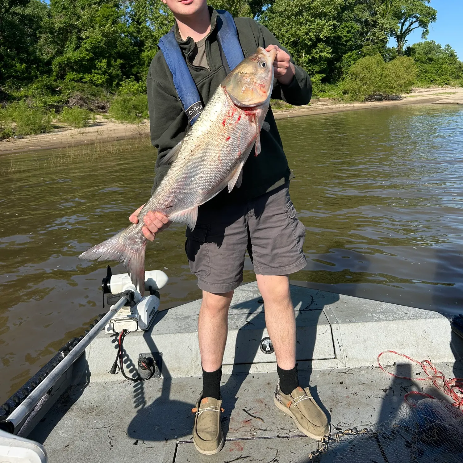 The most recent Silver carp catches on Fishbrain
