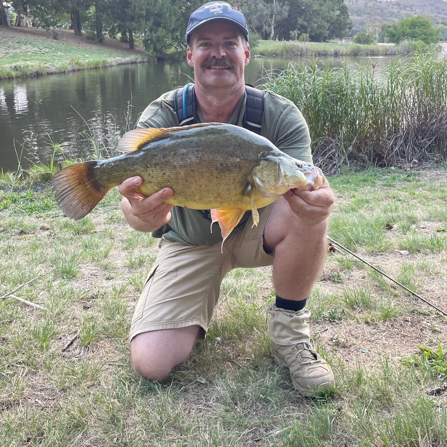 The most recent Golden perch catches on Fishbrain