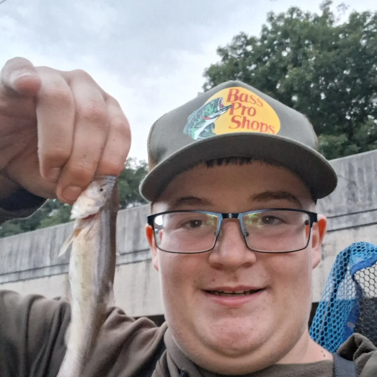Creek chub caught on Fishbrain