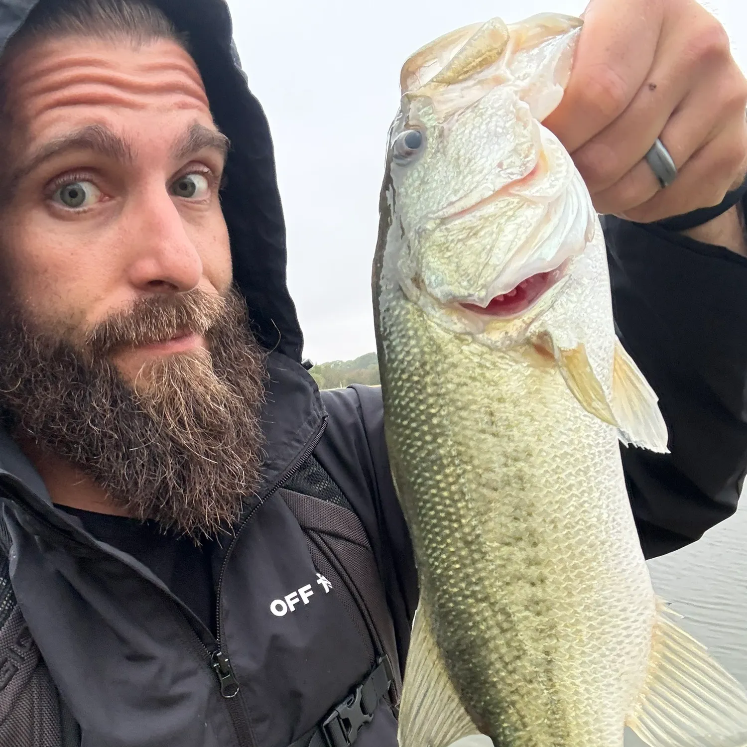 Largemouth bass caught on Fishbrain