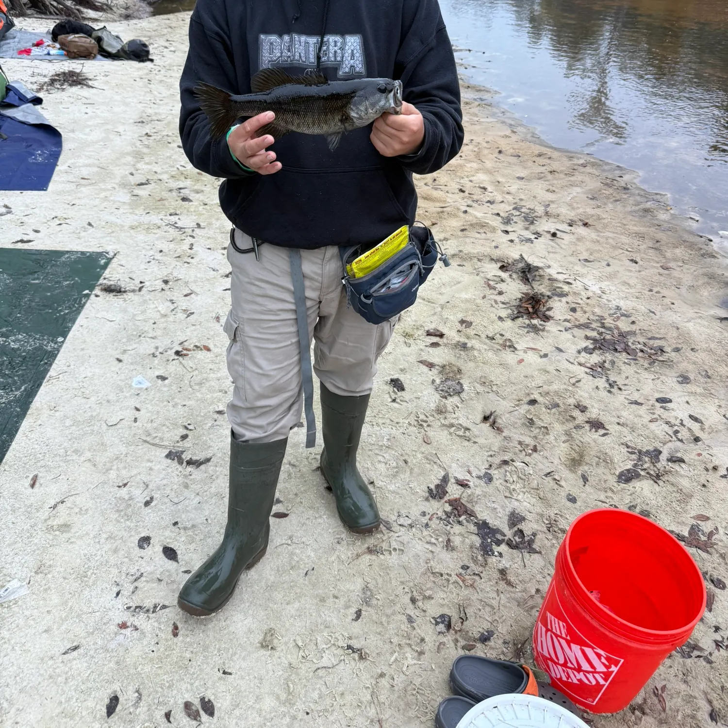 The most recent Suwannee bass catches on Fishbrain