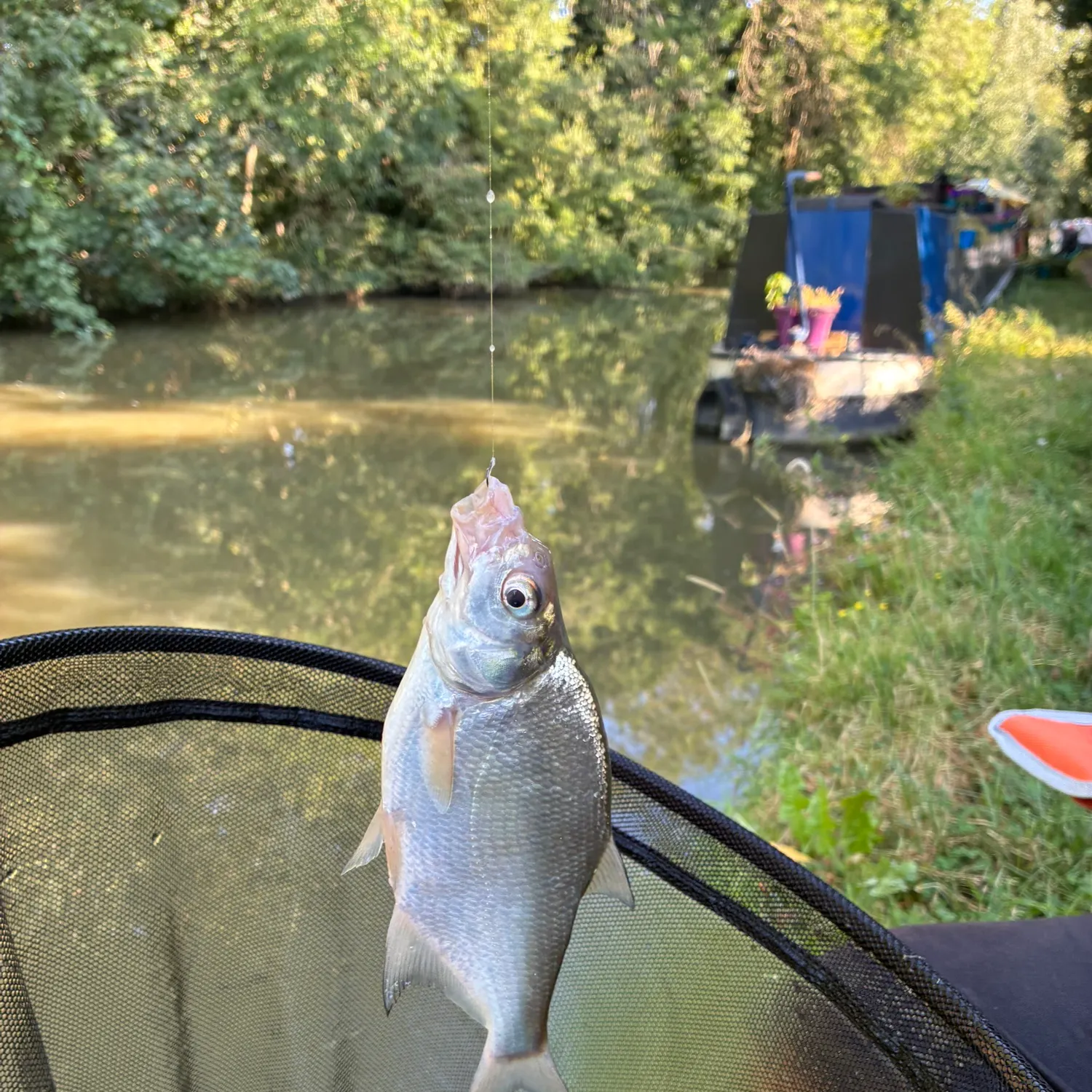 catch