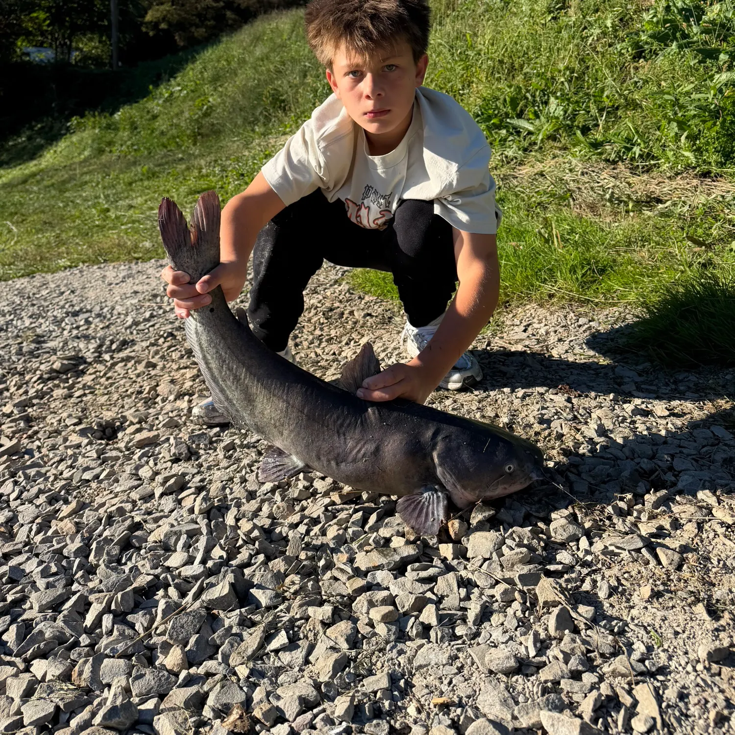 Blue catfish caught on Fishbrain