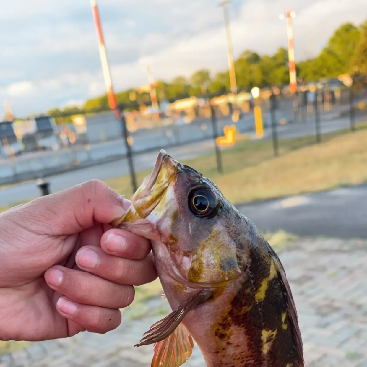catch