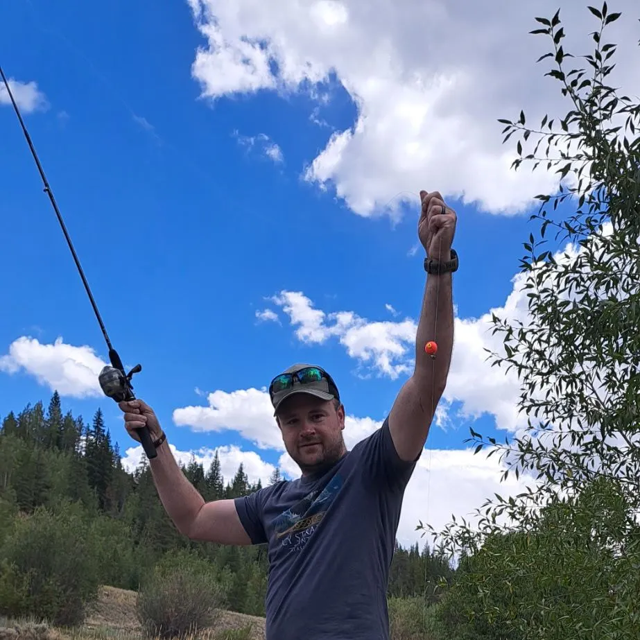 Rainbow trout caught on Fishbrain