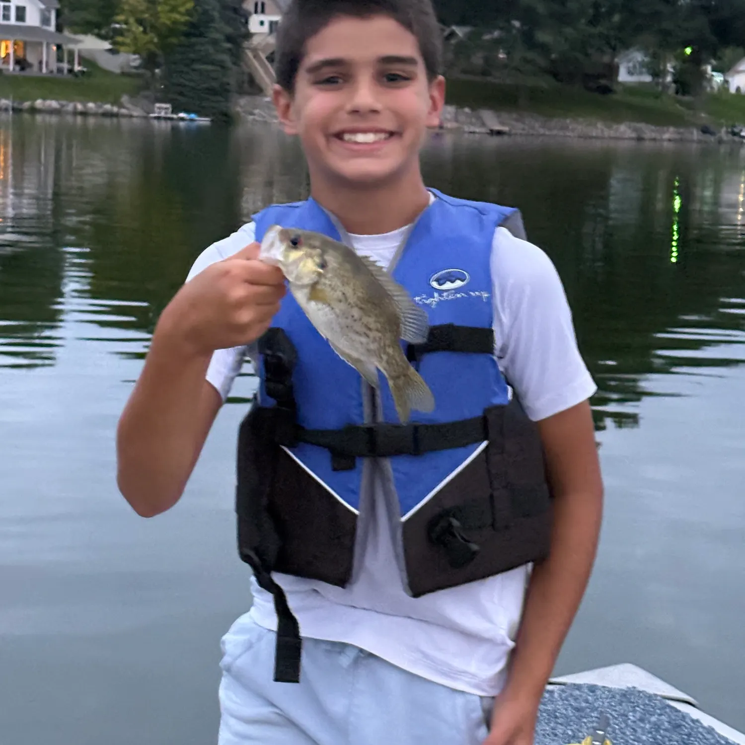 Rock bass caught on Fishbrain