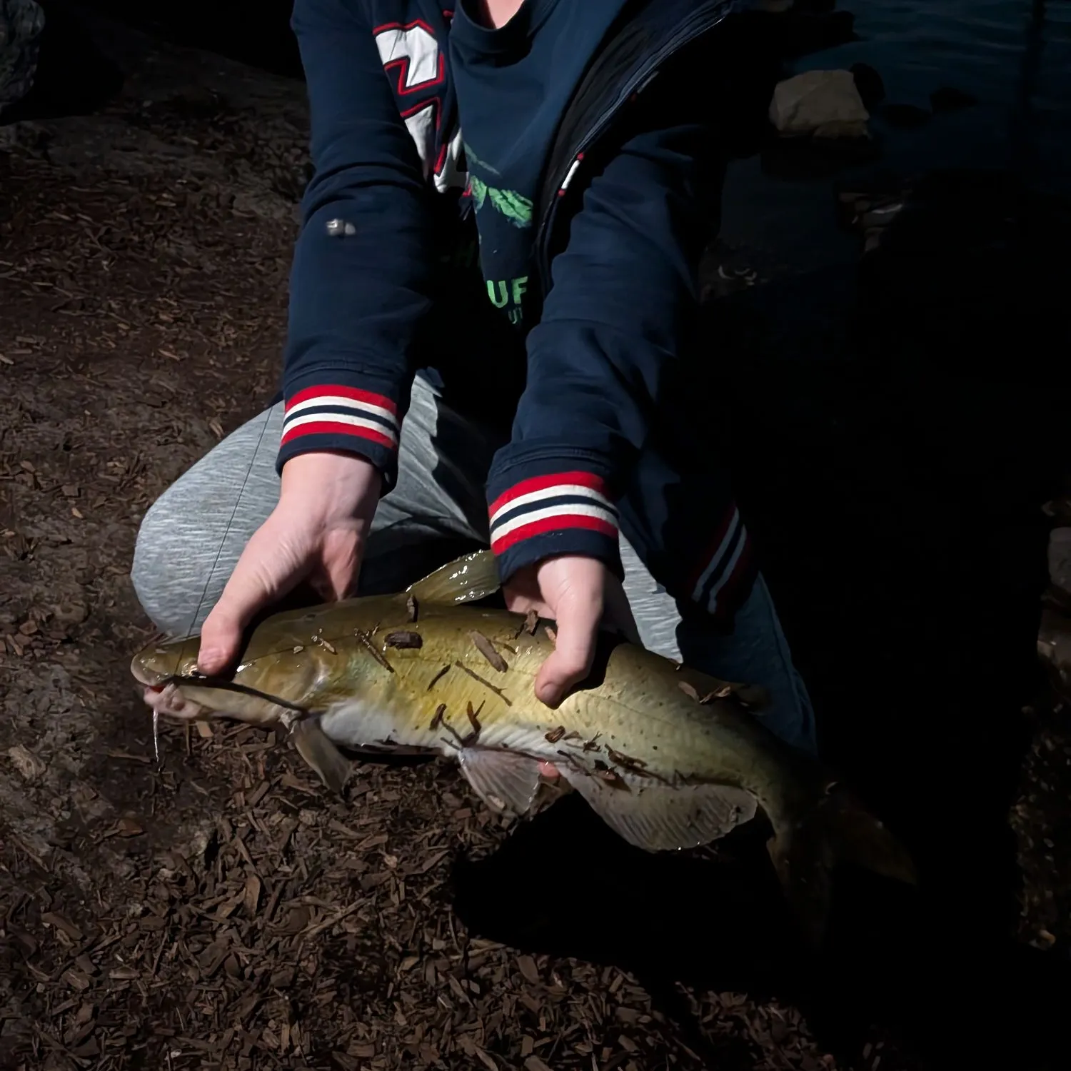 Channel catfish caught on Fishbrain