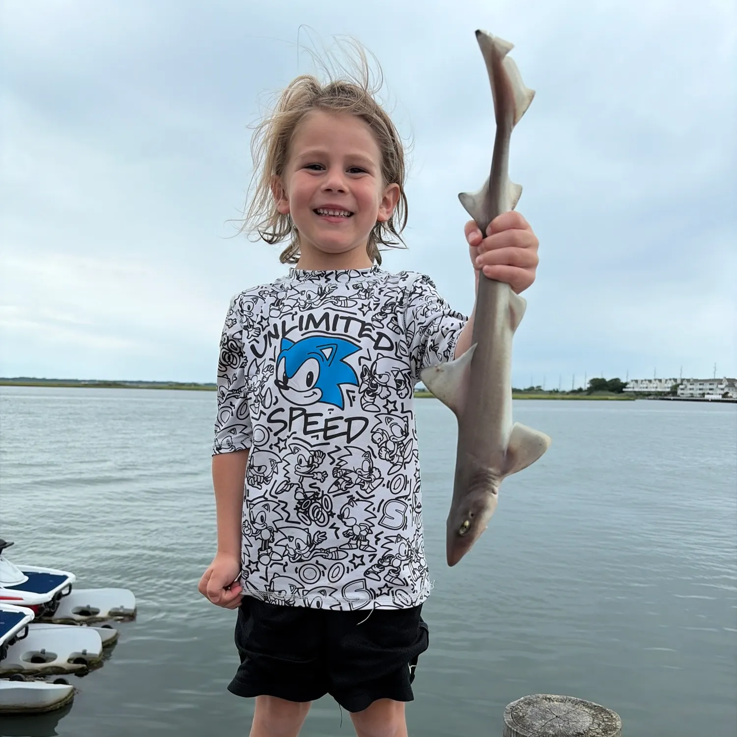 Dusky smooth-hound caught on Fishbrain