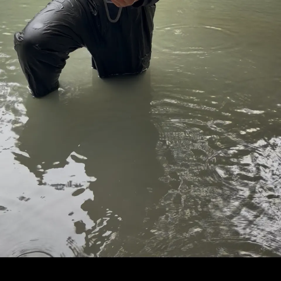 The most recent Pink salmon catches on Fishbrain