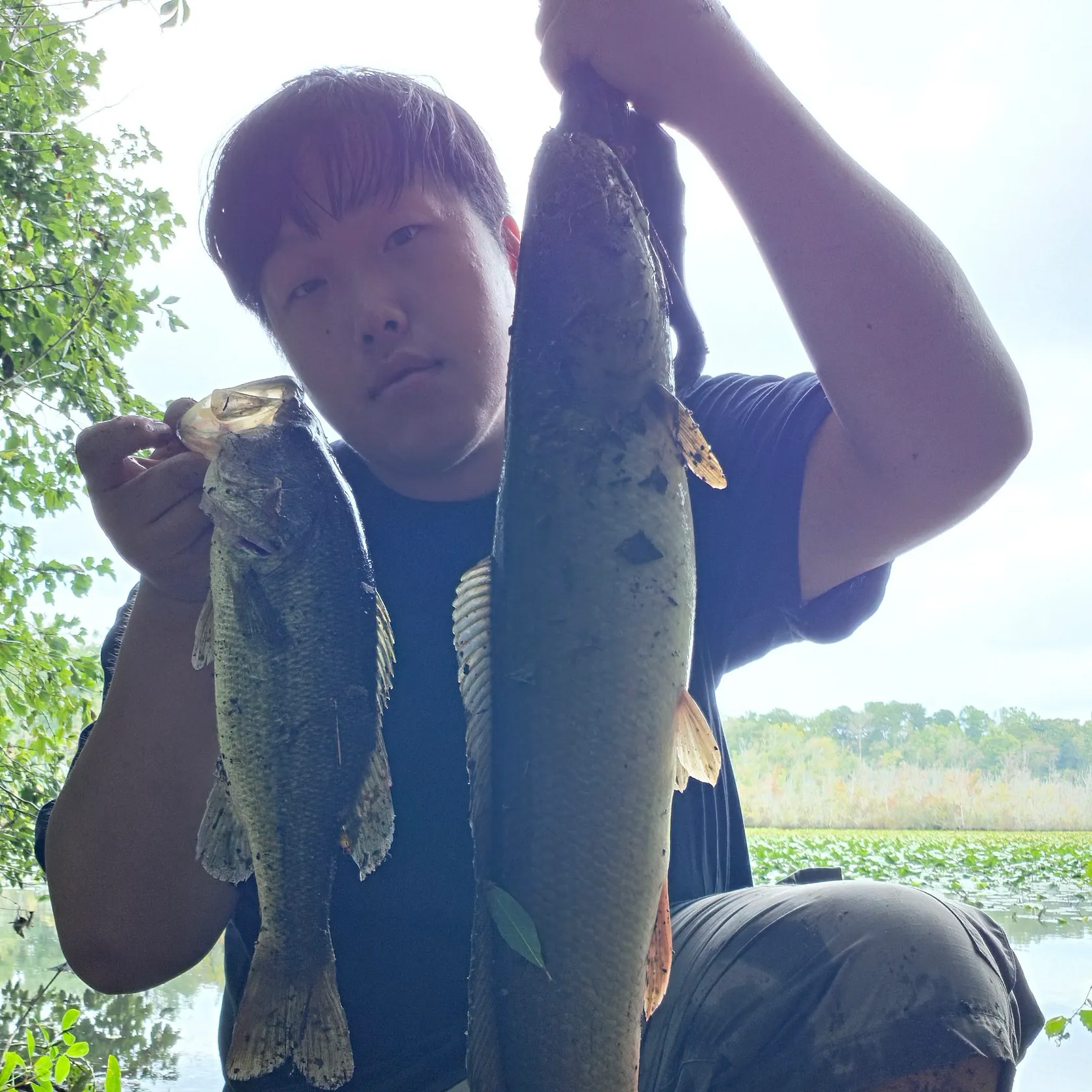 The most recent Ruddy bowfin catches on Fishbrain