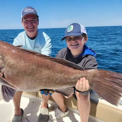 The most recent Snowy grouper catches on Fishbrain