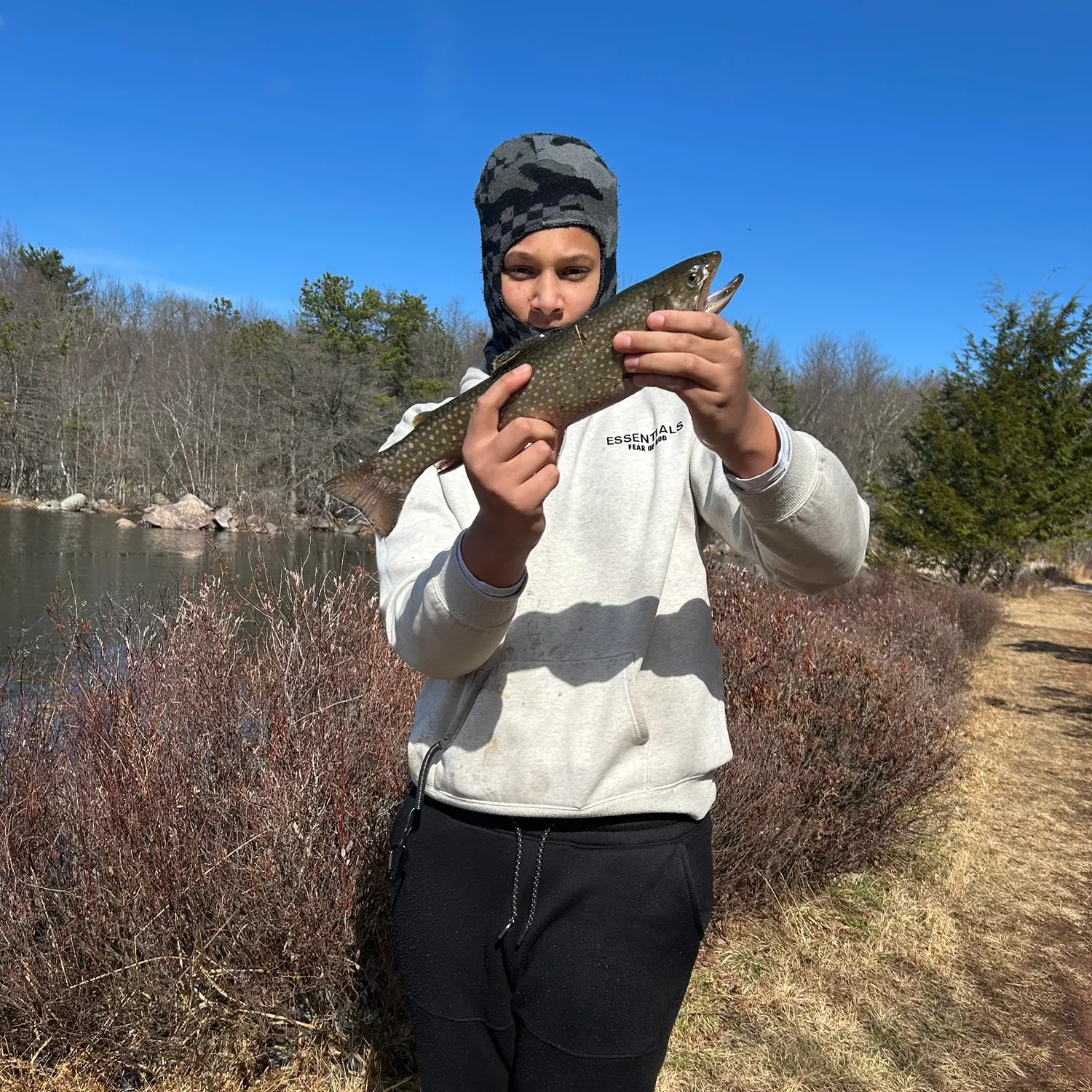 The most recent Brook trout catches on Fishbrain