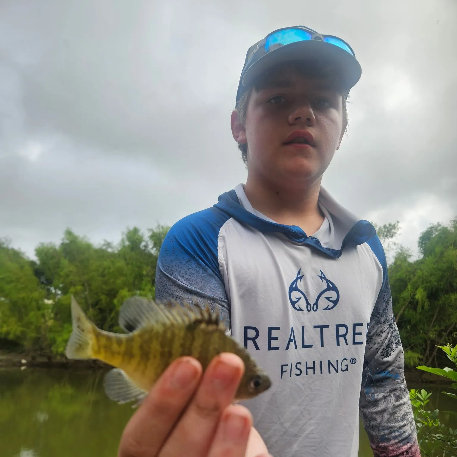 Bluegill caught on Fishbrain