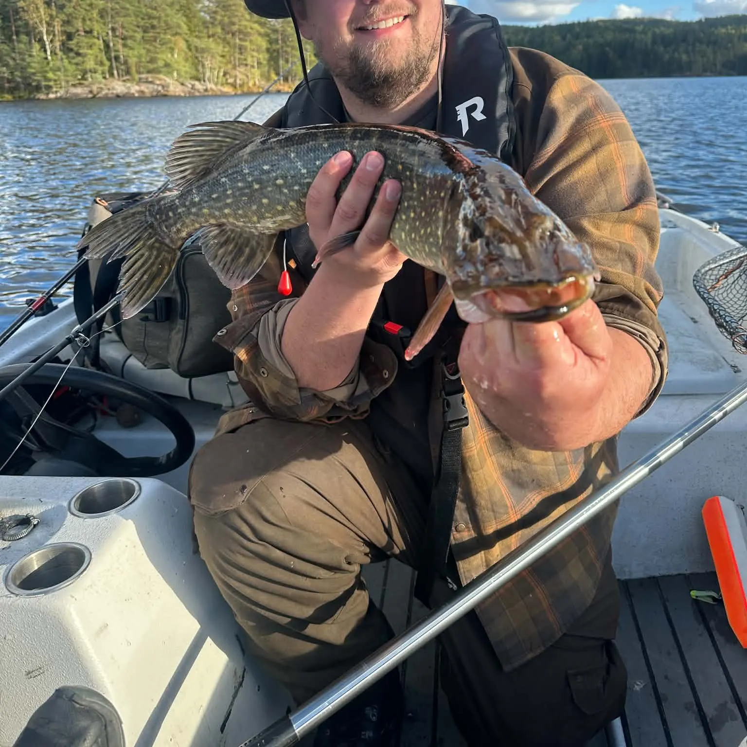 Northern pike caught on Fishbrain