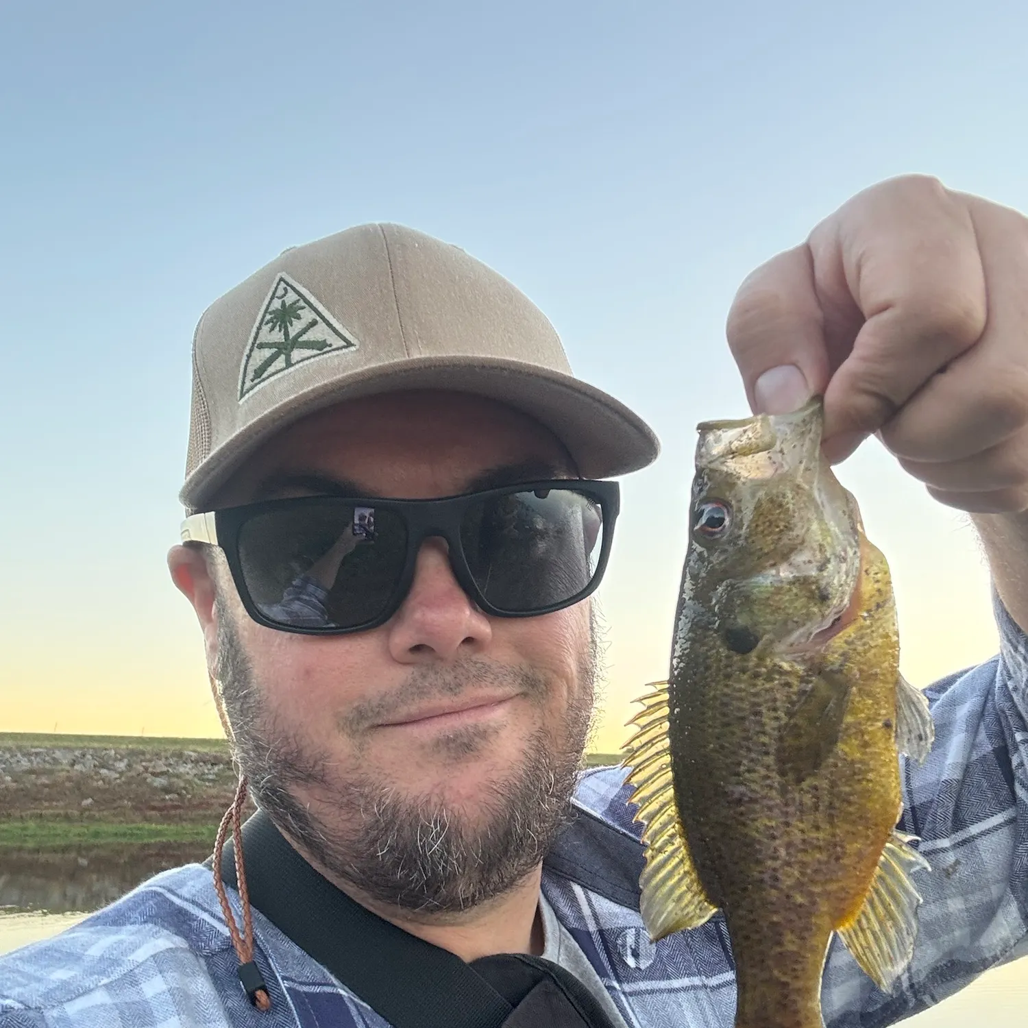 Fish caught on Fishbrain