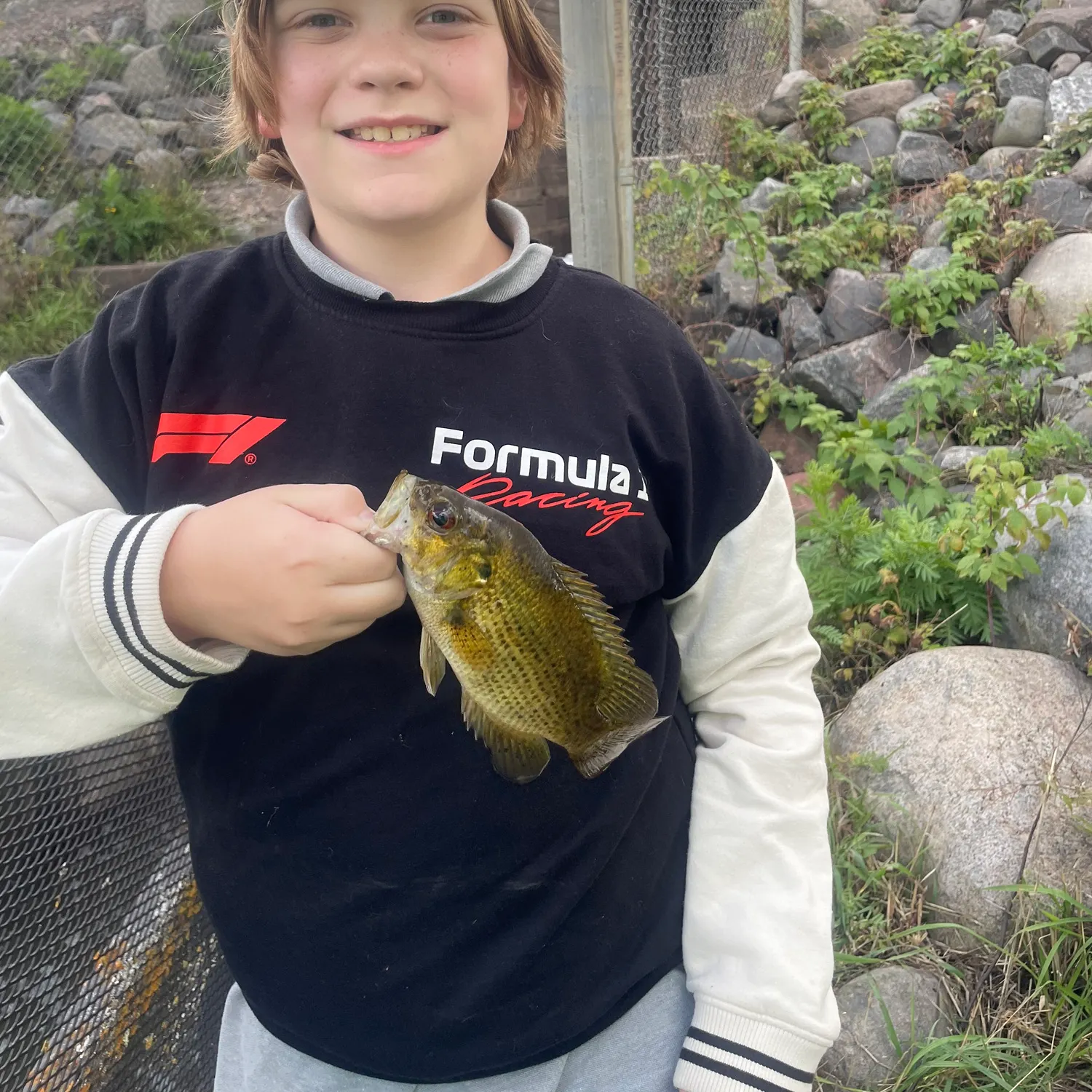 Rock bass caught on Fishbrain