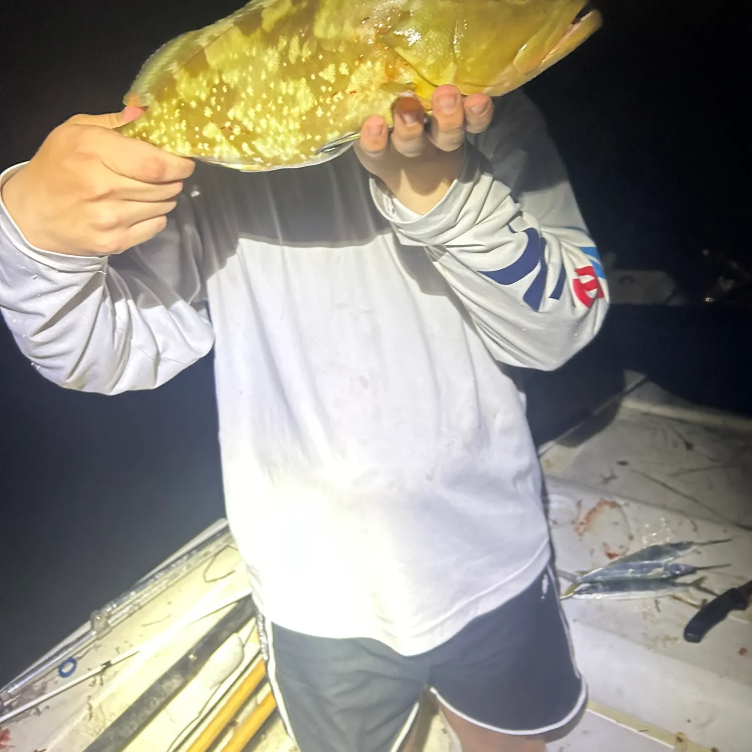The most recent Red hind grouper catches on Fishbrain