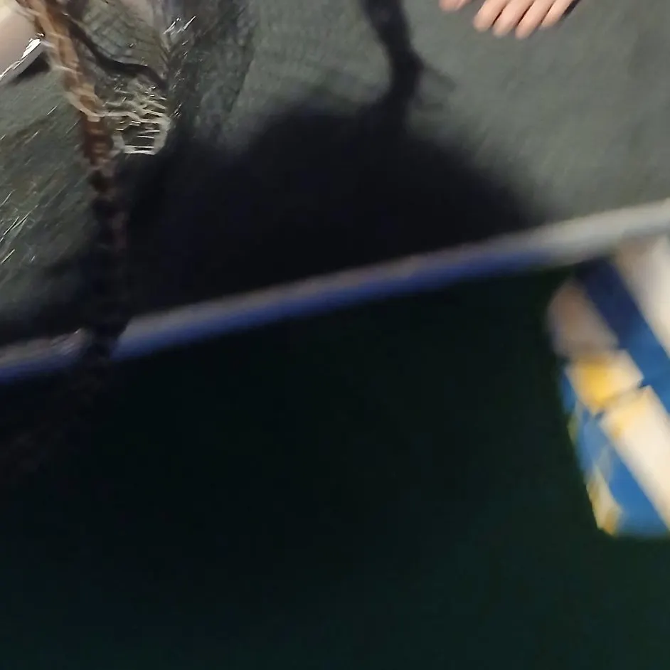 The most recent Bala shark catches on Fishbrain