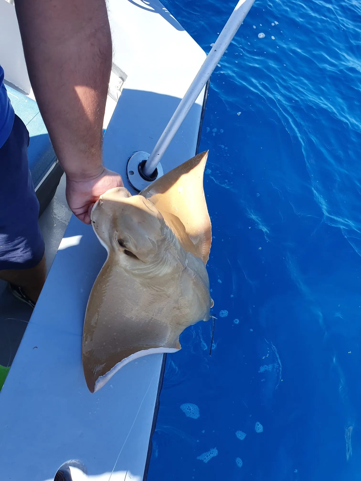 Post image from rmundzia