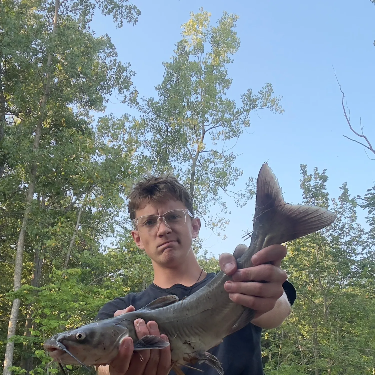 Channel catfish caught on Fishbrain