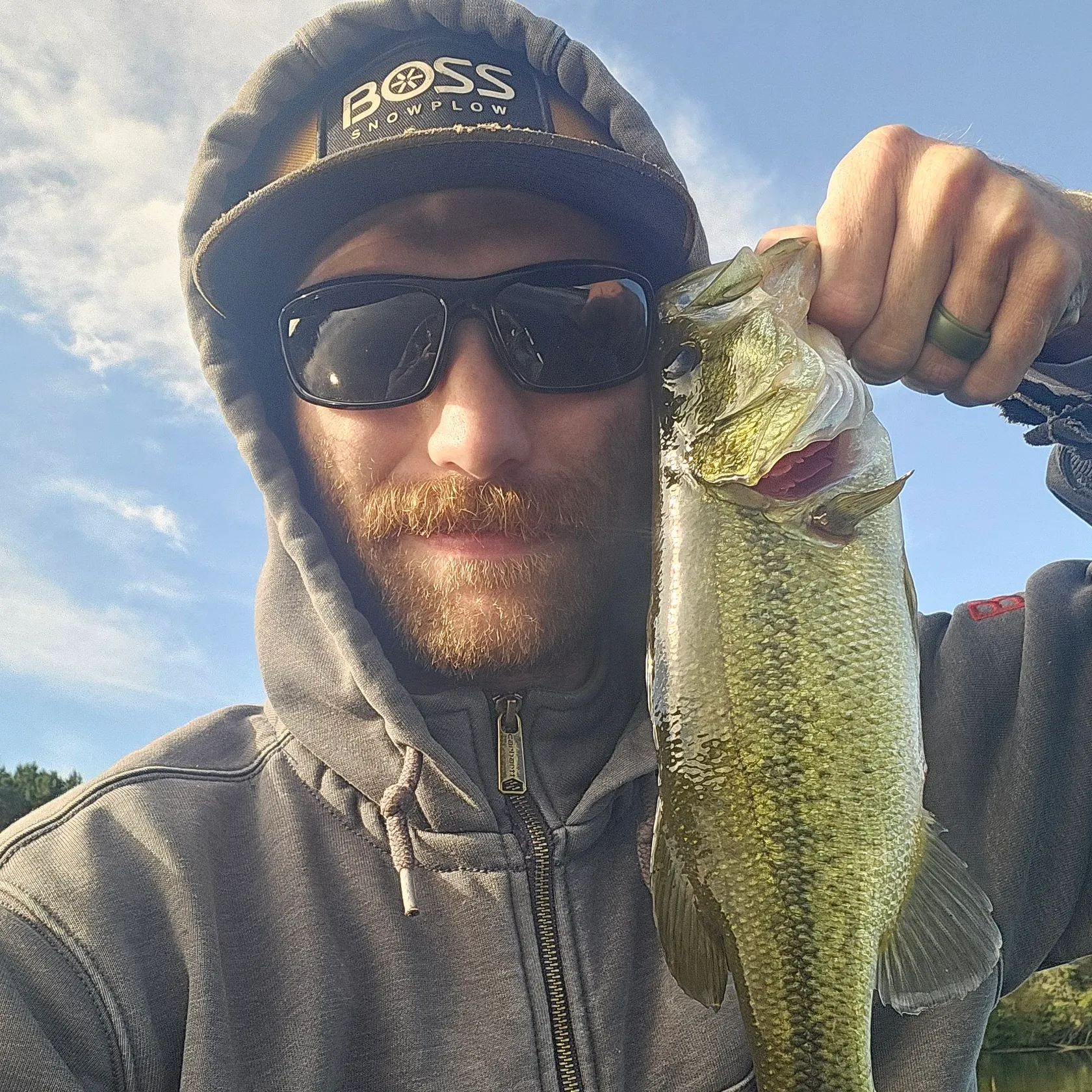 Largemouth bass caught on Fishbrain