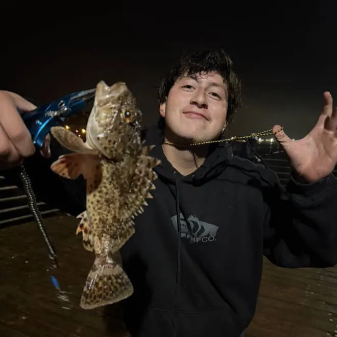 The most recent Spinyhead sculpin catches on Fishbrain