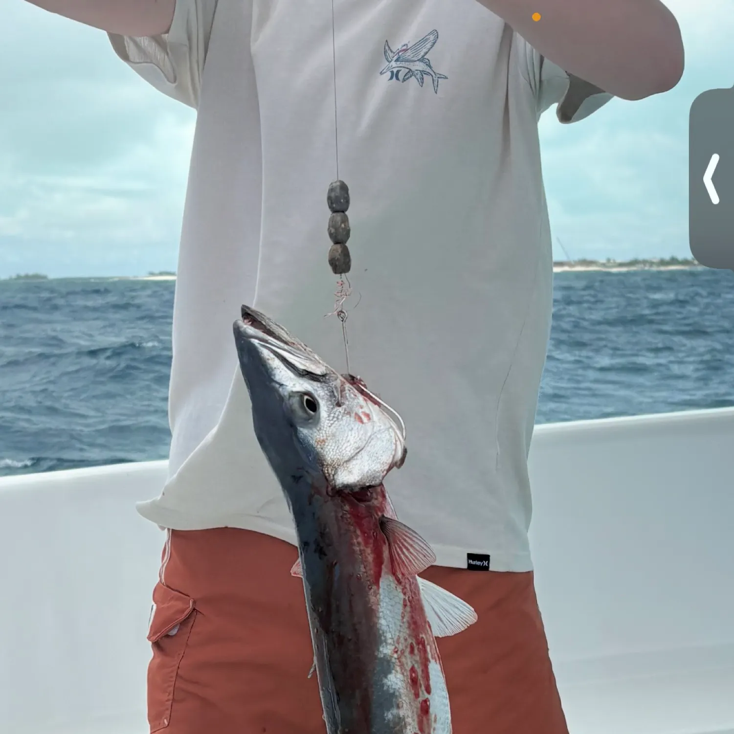 recently logged catches