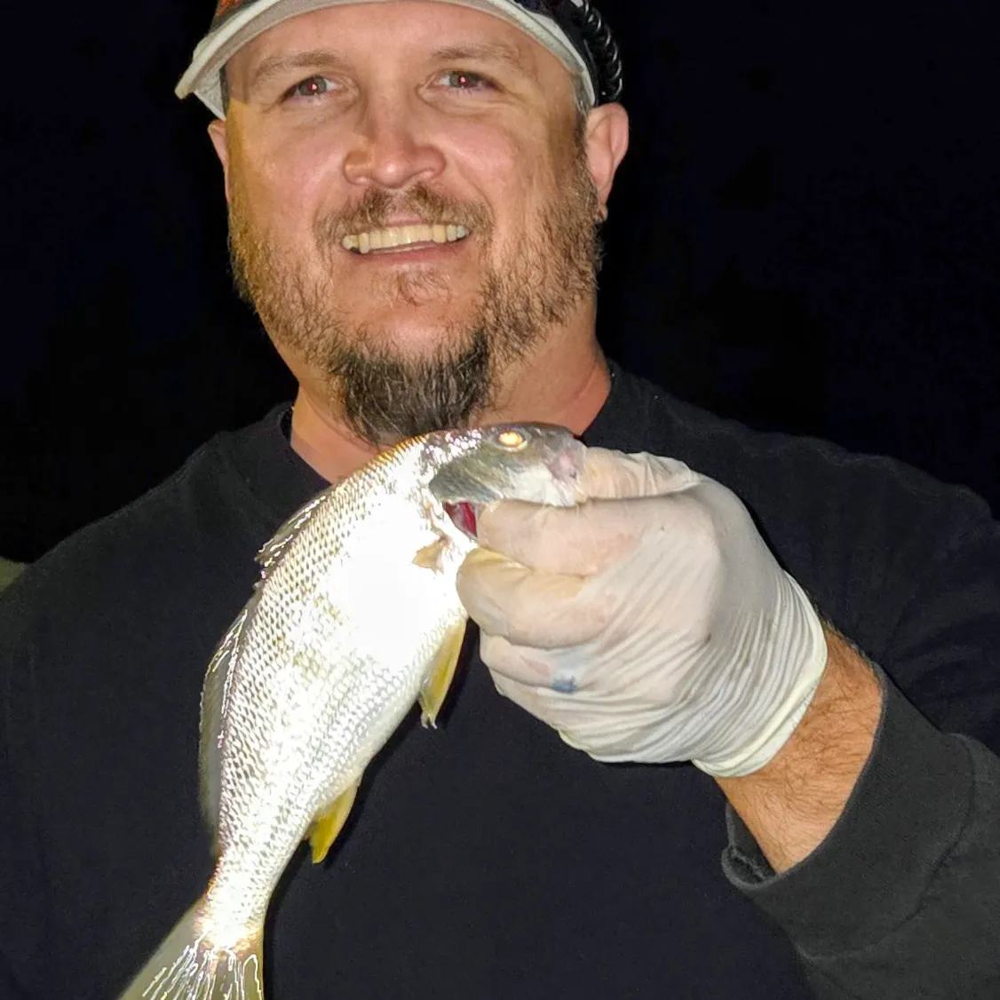 Yellowfin croaker caught on Fishbrain