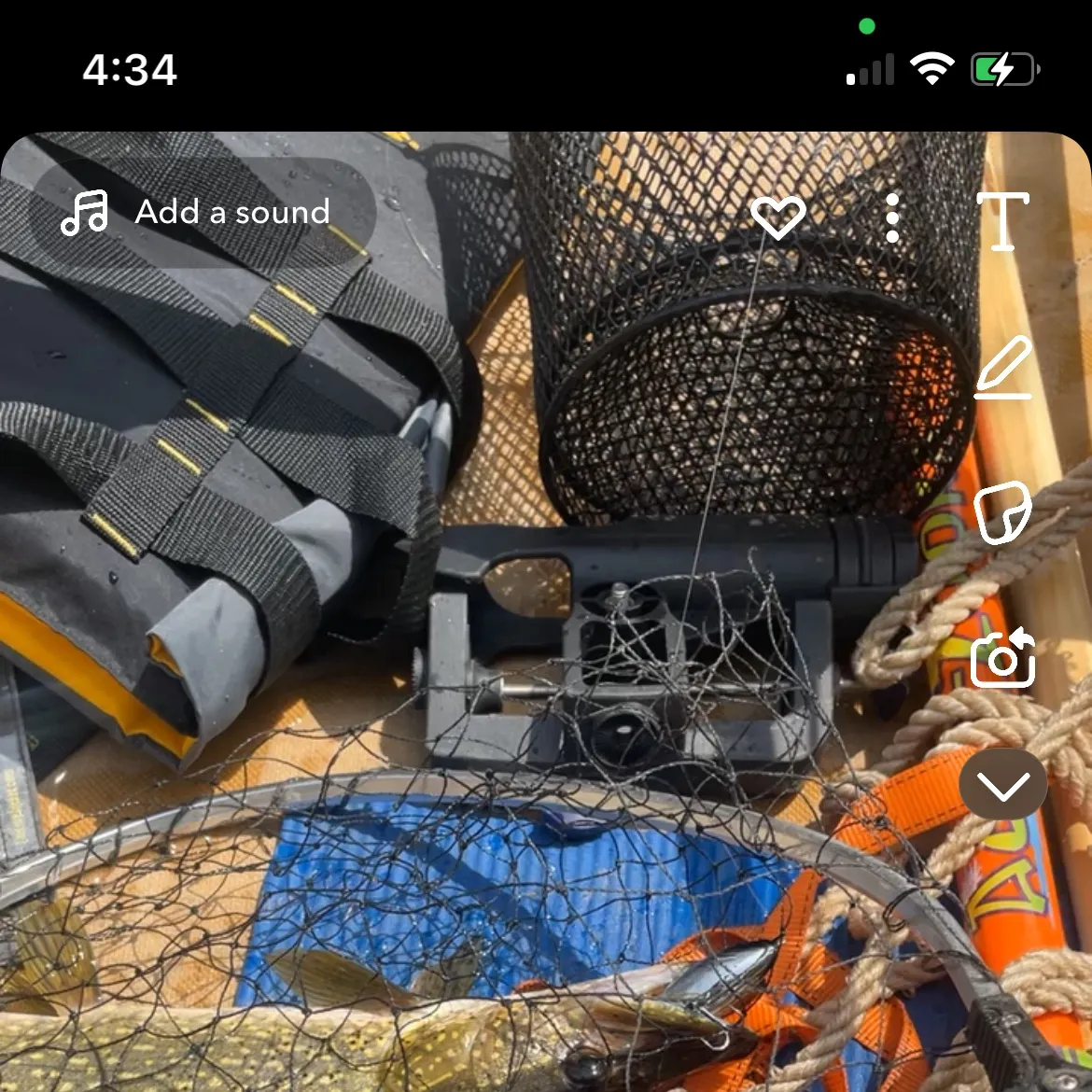 recently logged catches