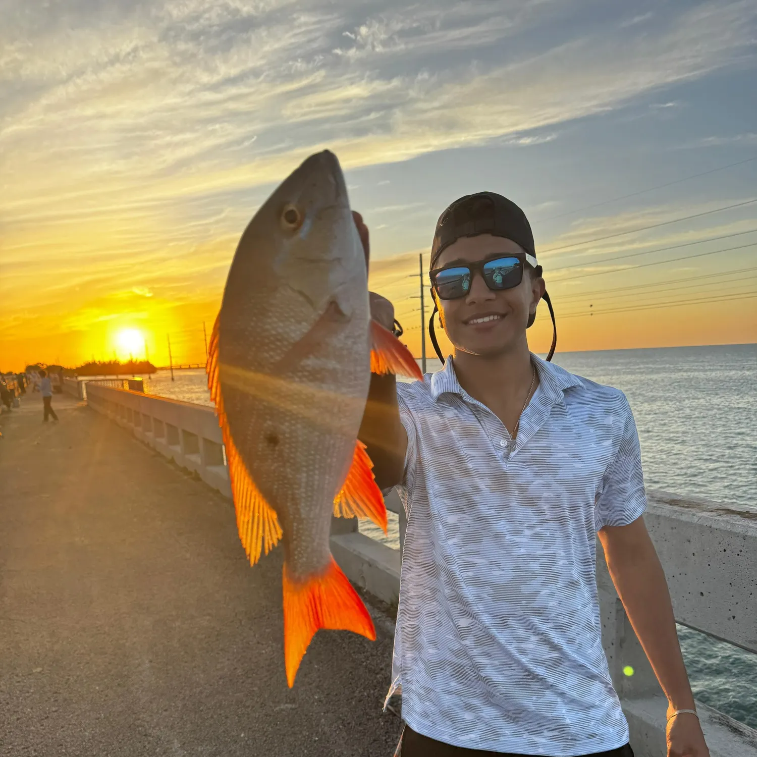 The most recent Mutton snapper catches on Fishbrain