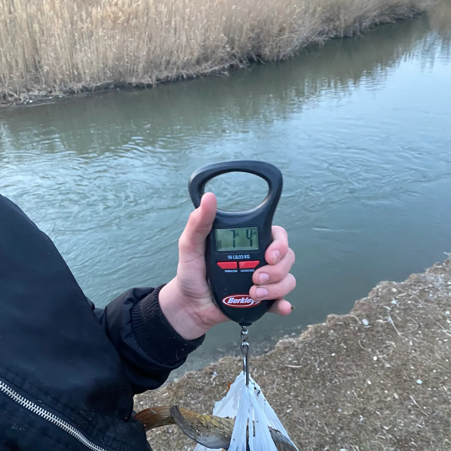 The most recent Common carp catches on Fishbrain