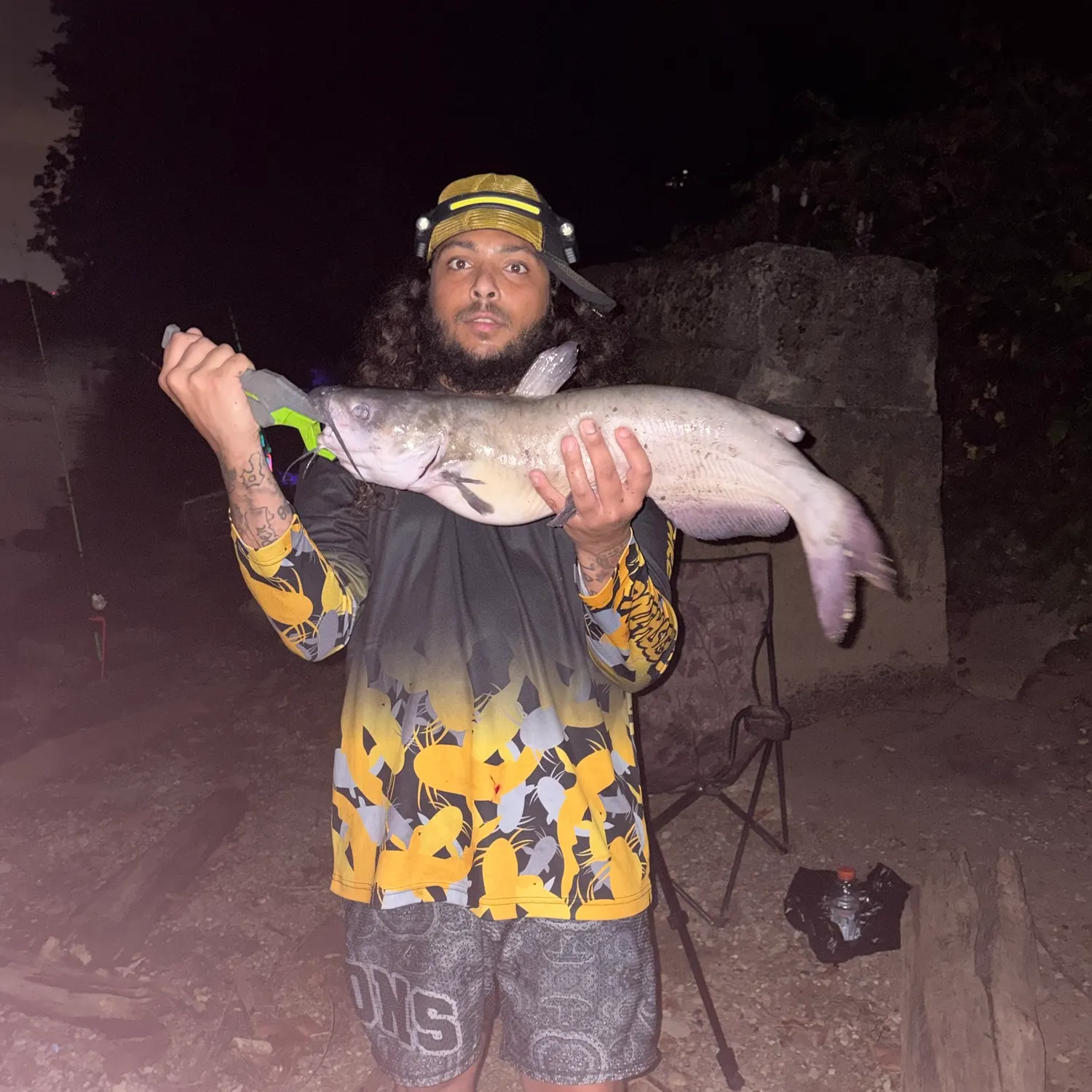 Channel catfish caught on Fishbrain