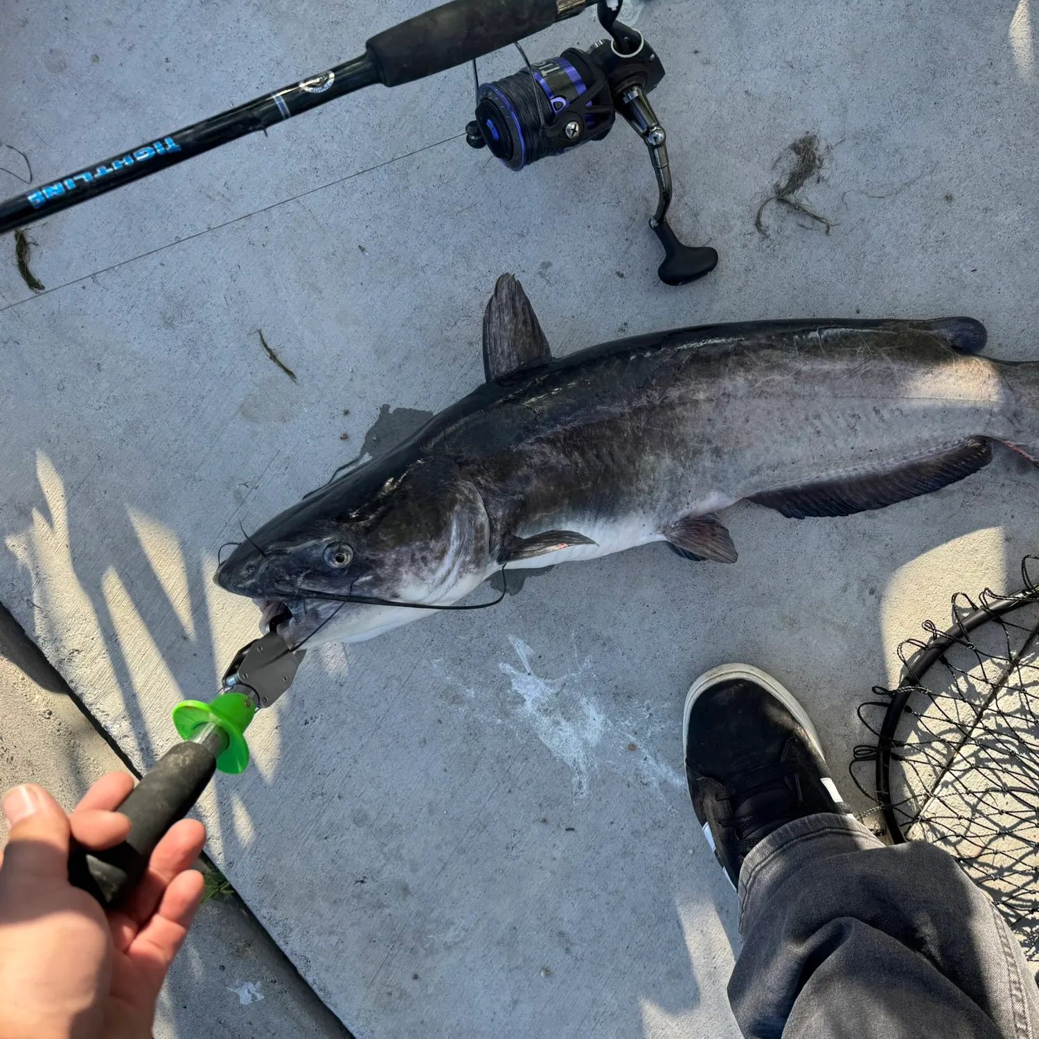catch