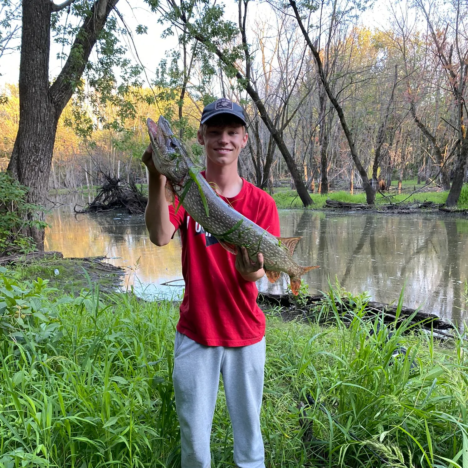 Northern pike caught on Fishbrain