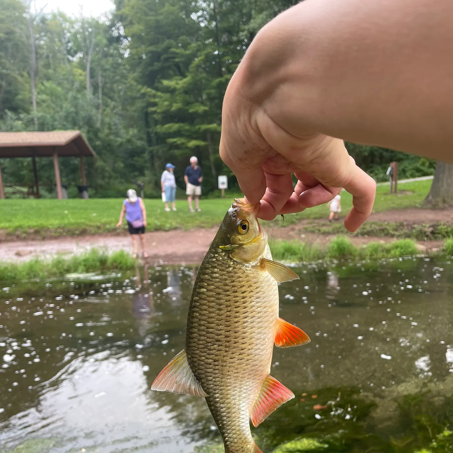 catch