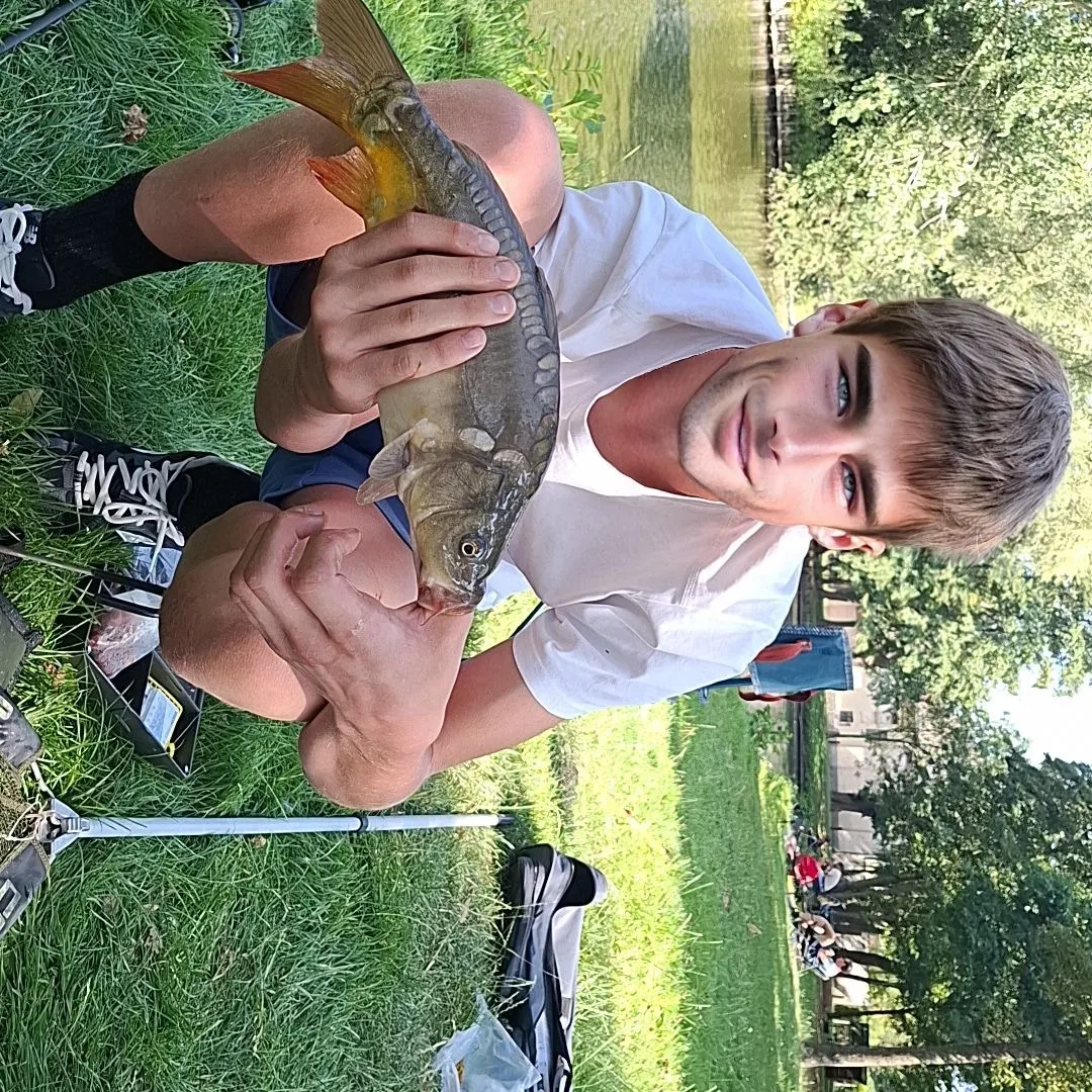 Mirror carp caught on Fishbrain