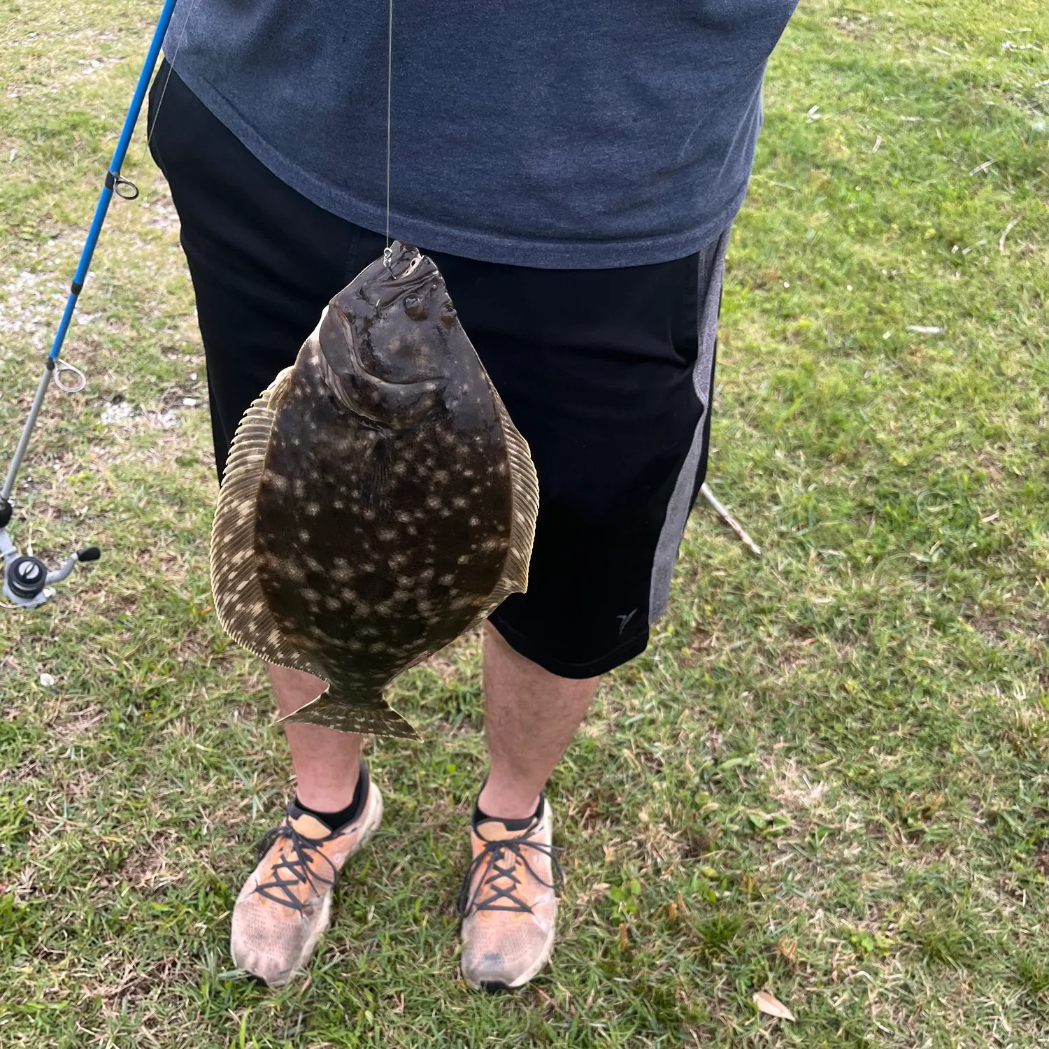 The most recent Southern flounder catches on Fishbrain
